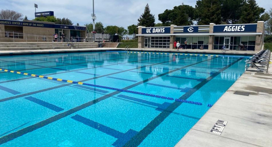 Davis Polo Gallery Image 950 x 516 px 2