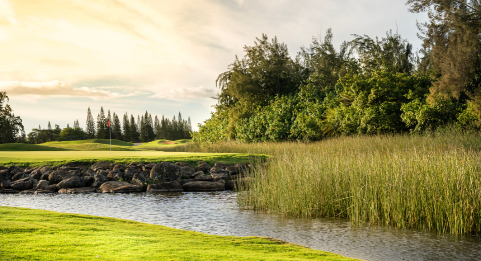 Turtle Bay Facility8