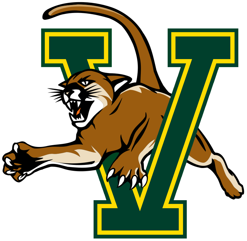 V Cat 2024 Color Change