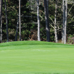 Nike Golf Camps, Franklin Bridge Golf Club