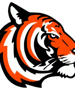 Troy Ghisetti - Site Director