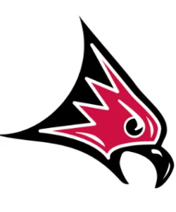 Chris Bailey - Camp Coach