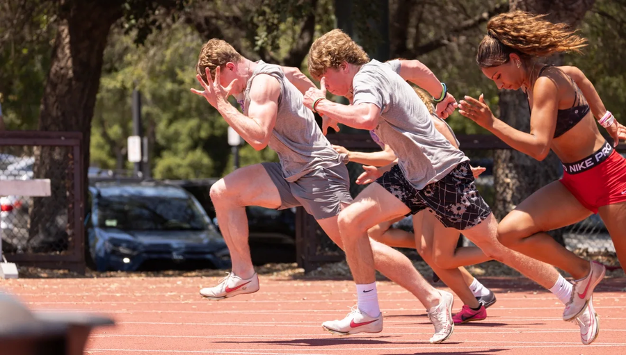 Why Sport Performance