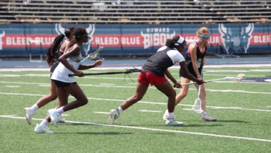 Howard Lacrosse Sccoping Ball 2