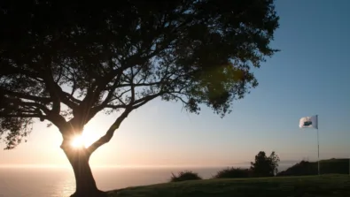 LVD 2012 04 01 2901 1 2048x1360