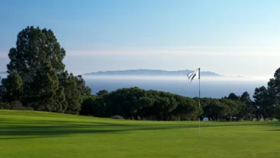 LVD 2742 28in 1 2048x1360