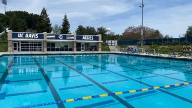 Davis Polo Gallery Image 5