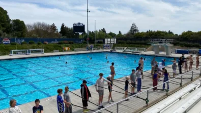 Davis Polo Gallery Image 2