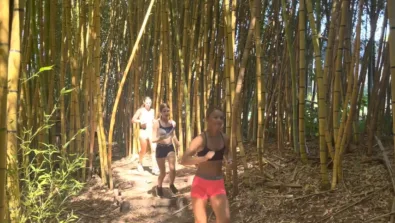 Screenshot 2026 04 15 135923