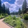 Deschutes River Trail 2