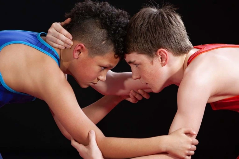 Wrestling Hero Image 8