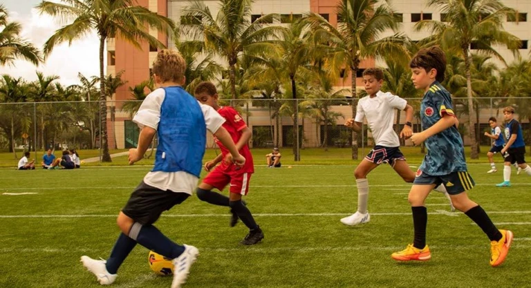 Cut back small sided