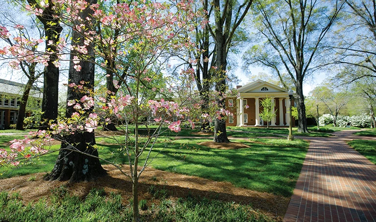 Furman Trees