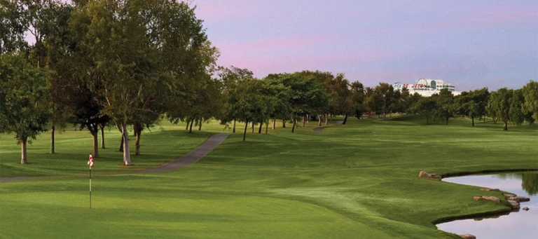 Skylinksat Long Beach1