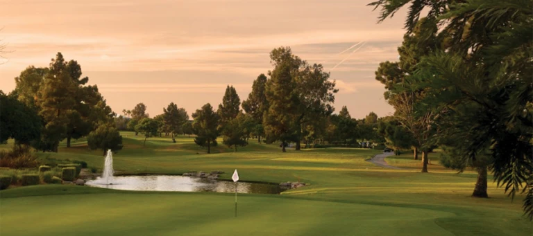 Skylinksat Long Beach2