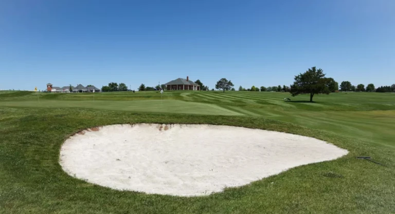 Universityof Missouri Gallery Images8