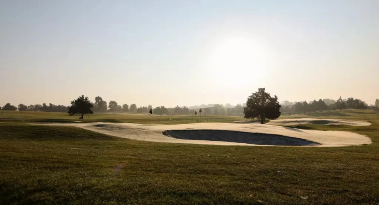 Universityof Missouri Gallery Images9