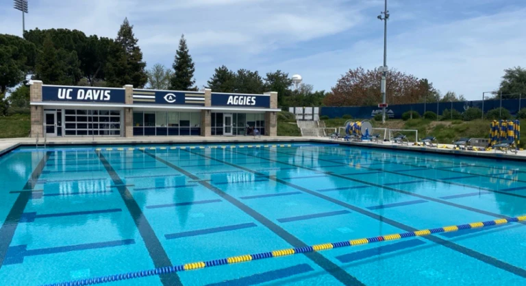 Davis Polo Gallery Image 5