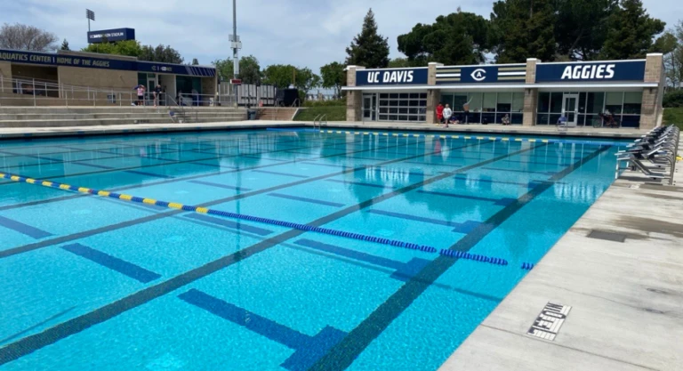 Davis Polo Gallery Image 3