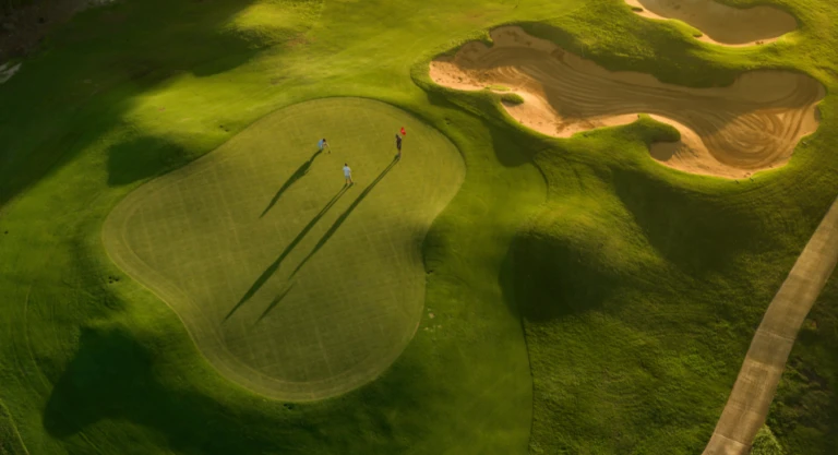 Turtle Bay Facility4