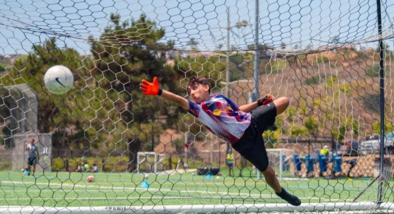 2025 Default Gallery Image 950 x 516 px 6