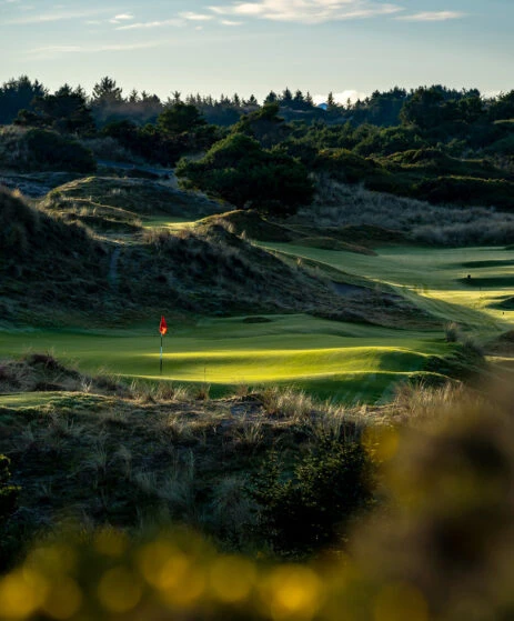 Bandon Preserve