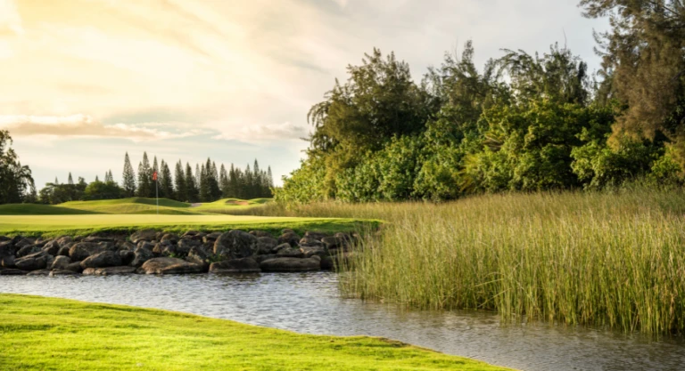 Turtle Bay Facility8