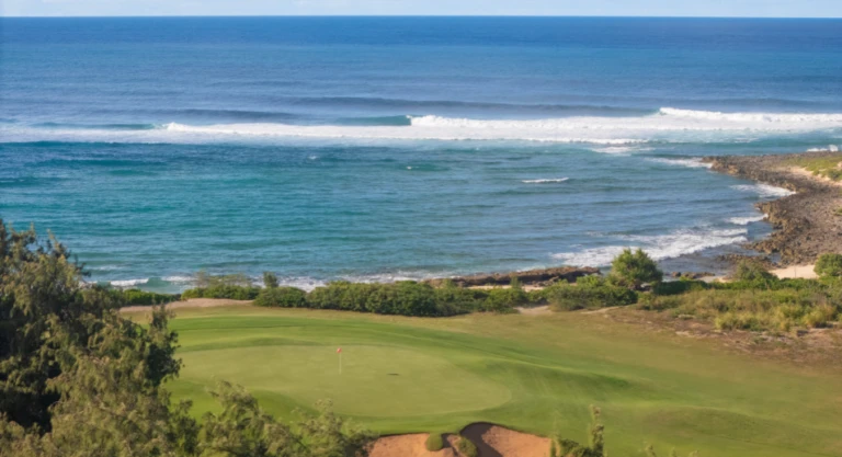 Turtle Bay Facility7