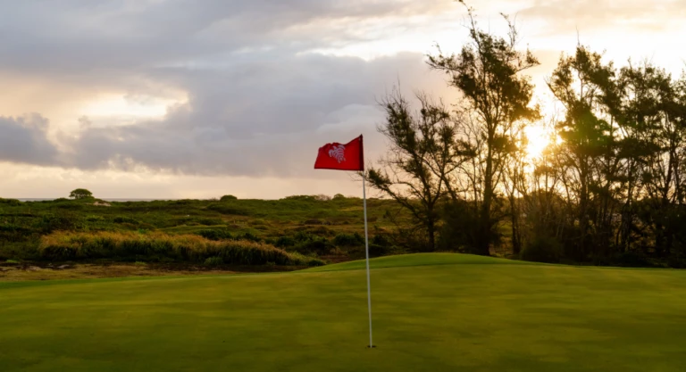 Turtle Bay Facility5