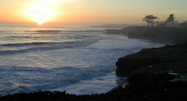 Santa Cruz View