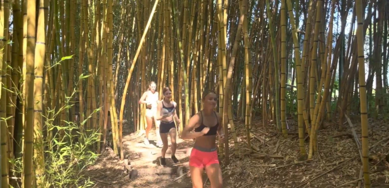 Screenshot 2026 04 15 135923