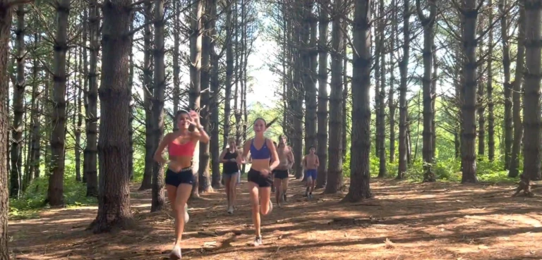 Screenshot 2026 04 15 135428