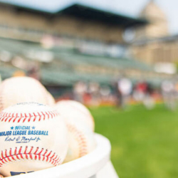 Arizona Holiday Pro Baseball Camp