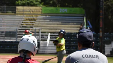 Pickles Baseball 24 2