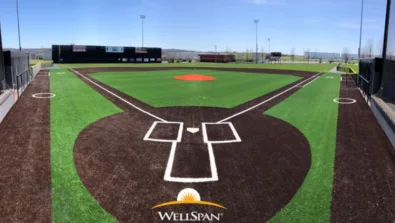 In The Net BAXDIN Gallery 2