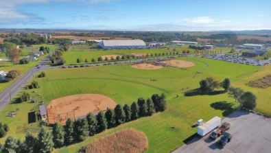 In The Net BAXDIN Gallery 5