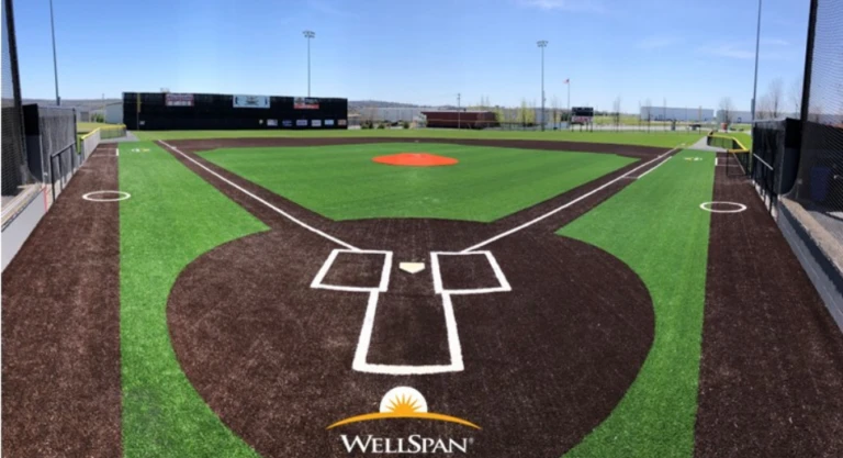 In The Net BAXDIN Gallery 2