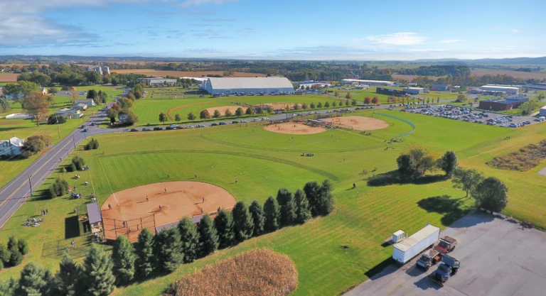 In The Net BAXDIN Gallery 5