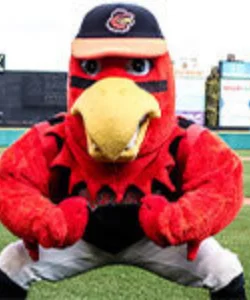 Coaching Staff and Players - Instructors