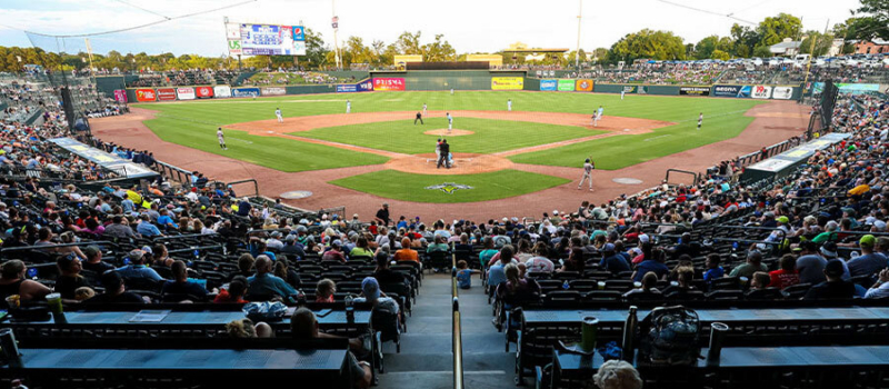 Segra Park Facility Photo Fireflies