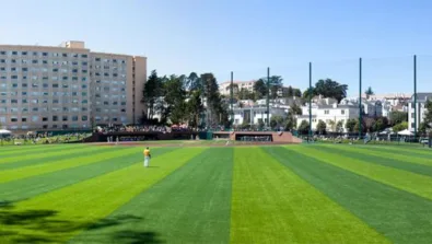 USF Baseball Field3