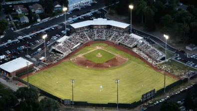 Melaleuca F Ield Overhead Shot