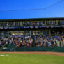 Kane County Cougars 4
