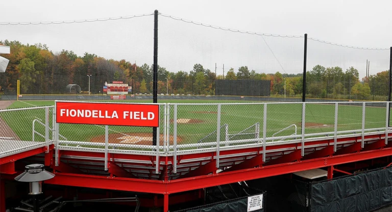 Fiondella Field1