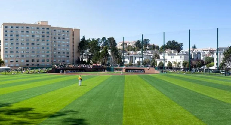 USF Baseball Field3