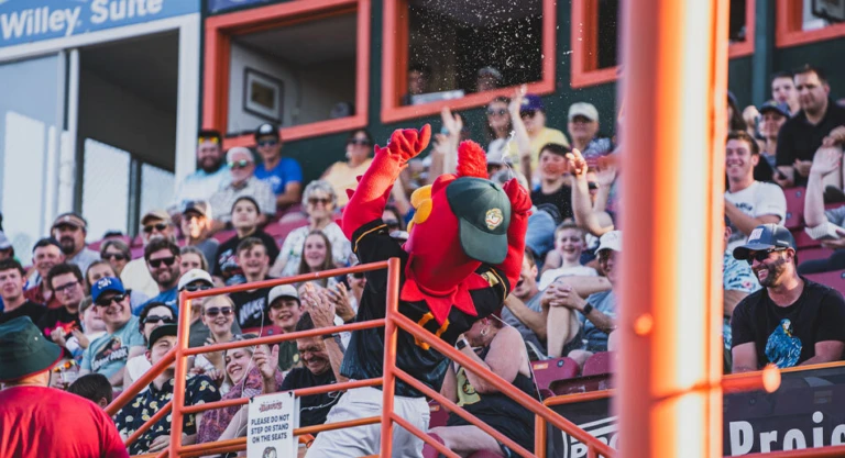 Boise Hawks Mascot