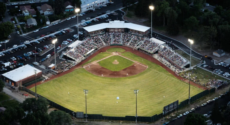 Melaleuca F Ield Overhead Shot