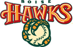 BOISE HAWKS LOGO