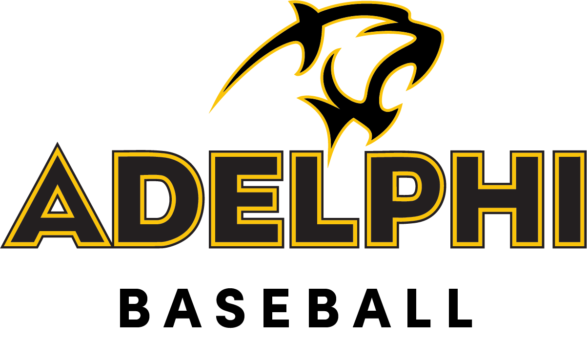 Panther Wordmark Baseball color