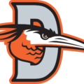 Delmarva Shorebirds LOGO